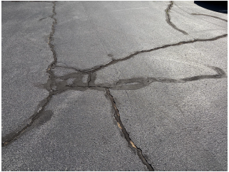 Close-up photograph of cracked asphalt pavement at Forest Park Elementary.
